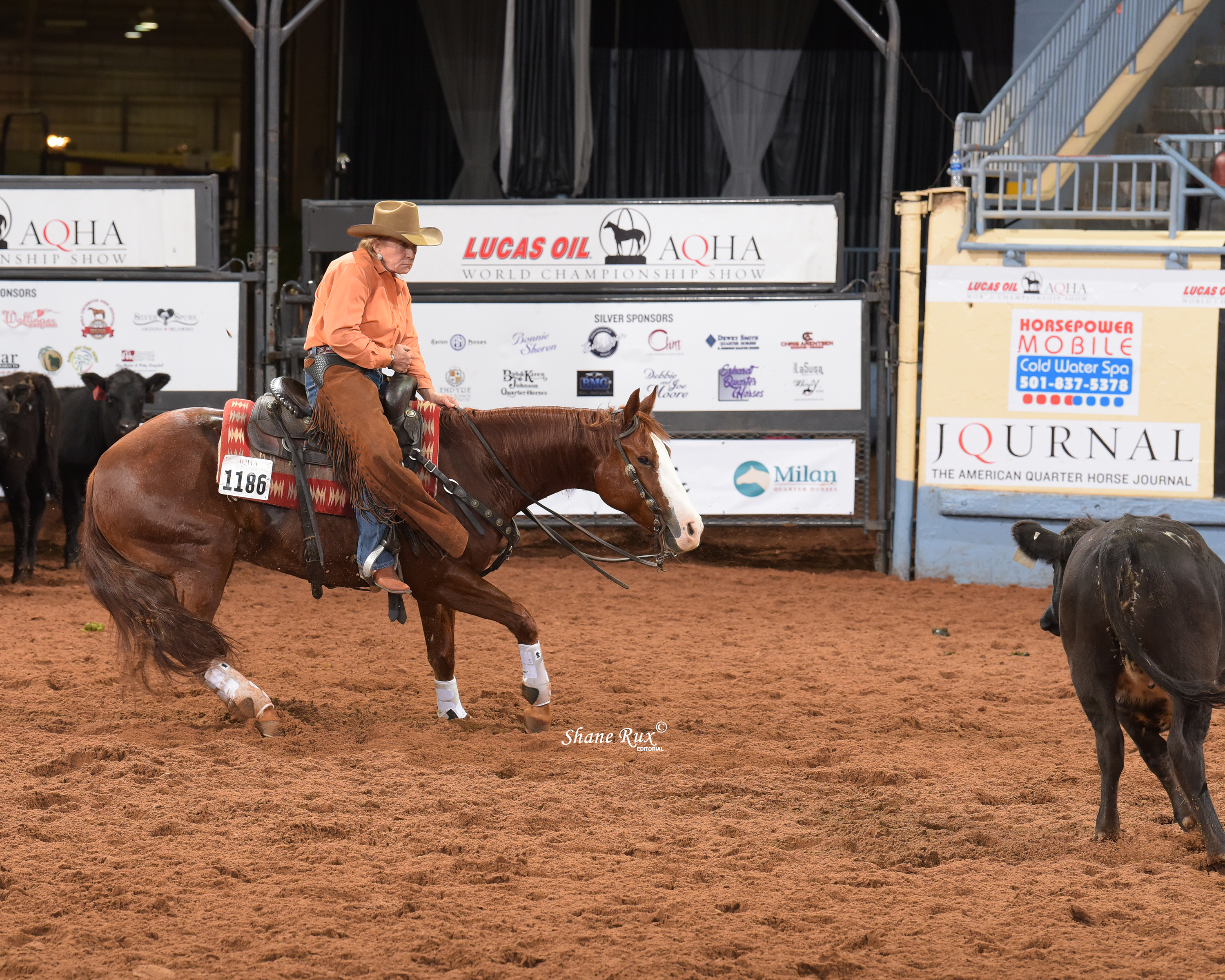 AQHA World Show