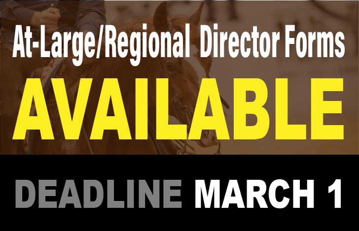 AtLargeDirectorForm_728x469