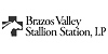 BrazosValleyStallionStation