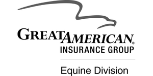 GreatAmericanInsurance